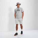 hombres camiseta Aiden 2 ropa Ellesse marga gris PZZNT351