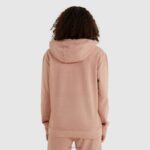 mujer sudadera con capucha dafni ropa Ellesse marrón PZZNT171 - Image 3