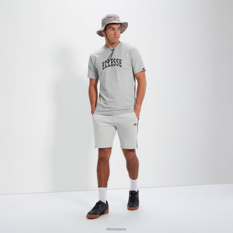 hombres camiseta Aiden 2 ropa Ellesse marga gris PZZNT351