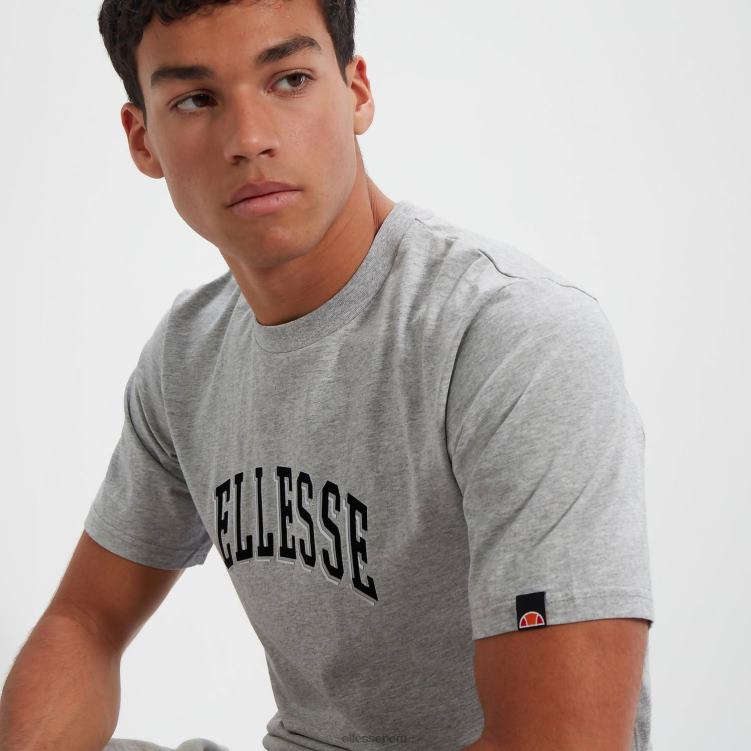 hombres camiseta Aiden 2 ropa Ellesse marga gris PZZNT351