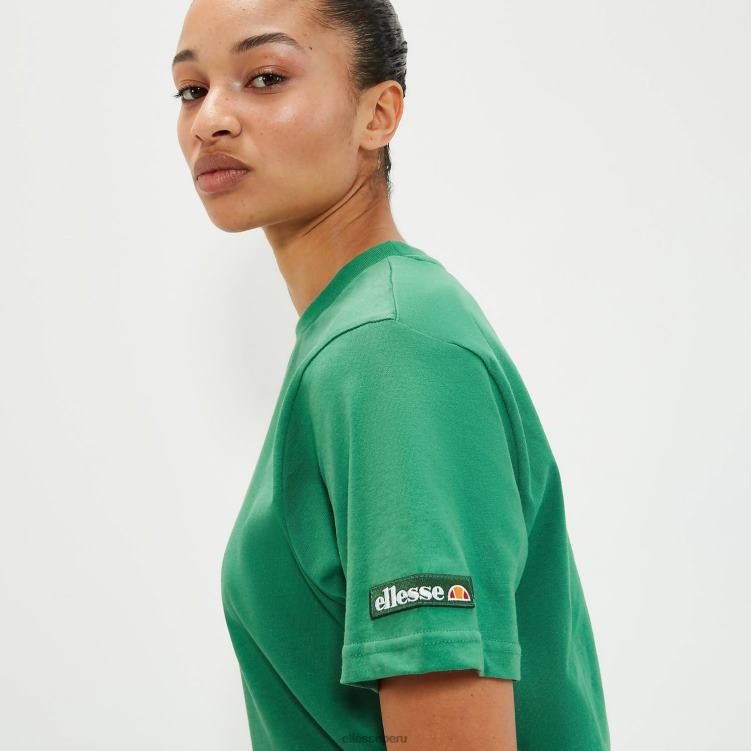 unisexo camiseta de melodía ropa Ellesse verde PZZNT80